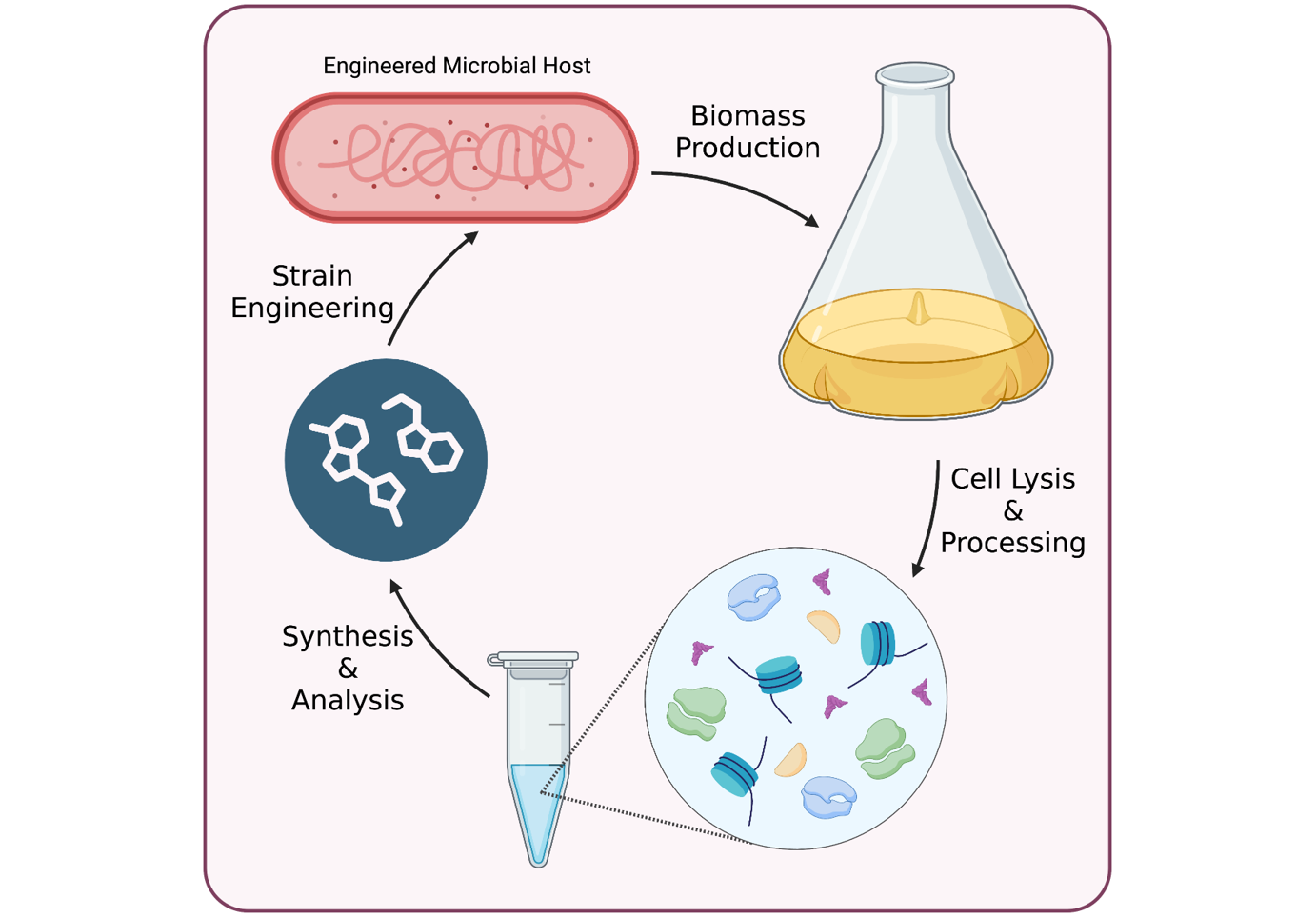 Cell-free Systems