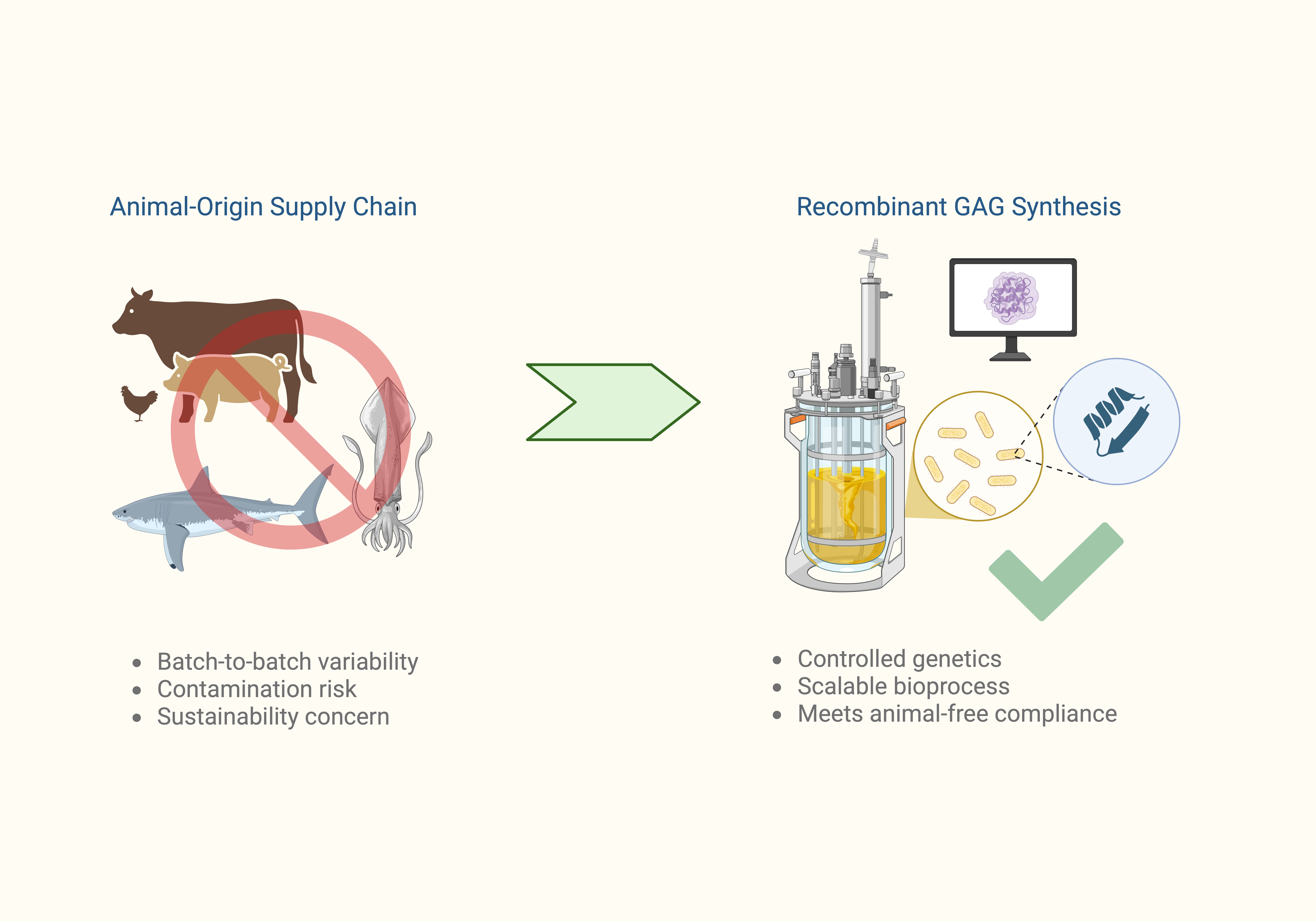 Chondroitin Research