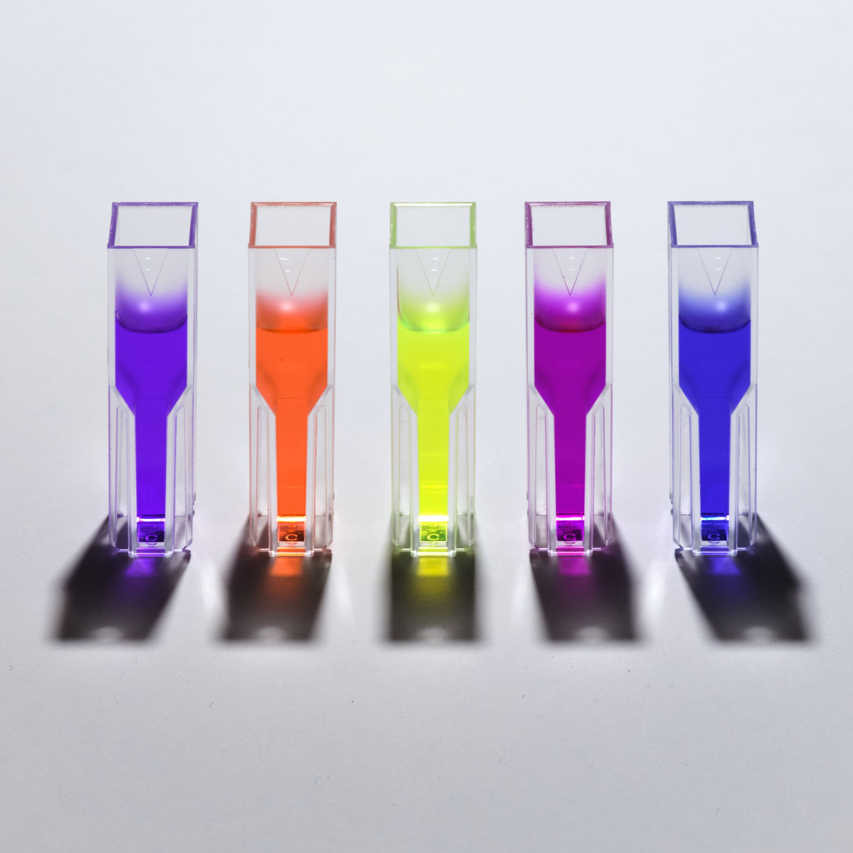 Chromoprotein Research