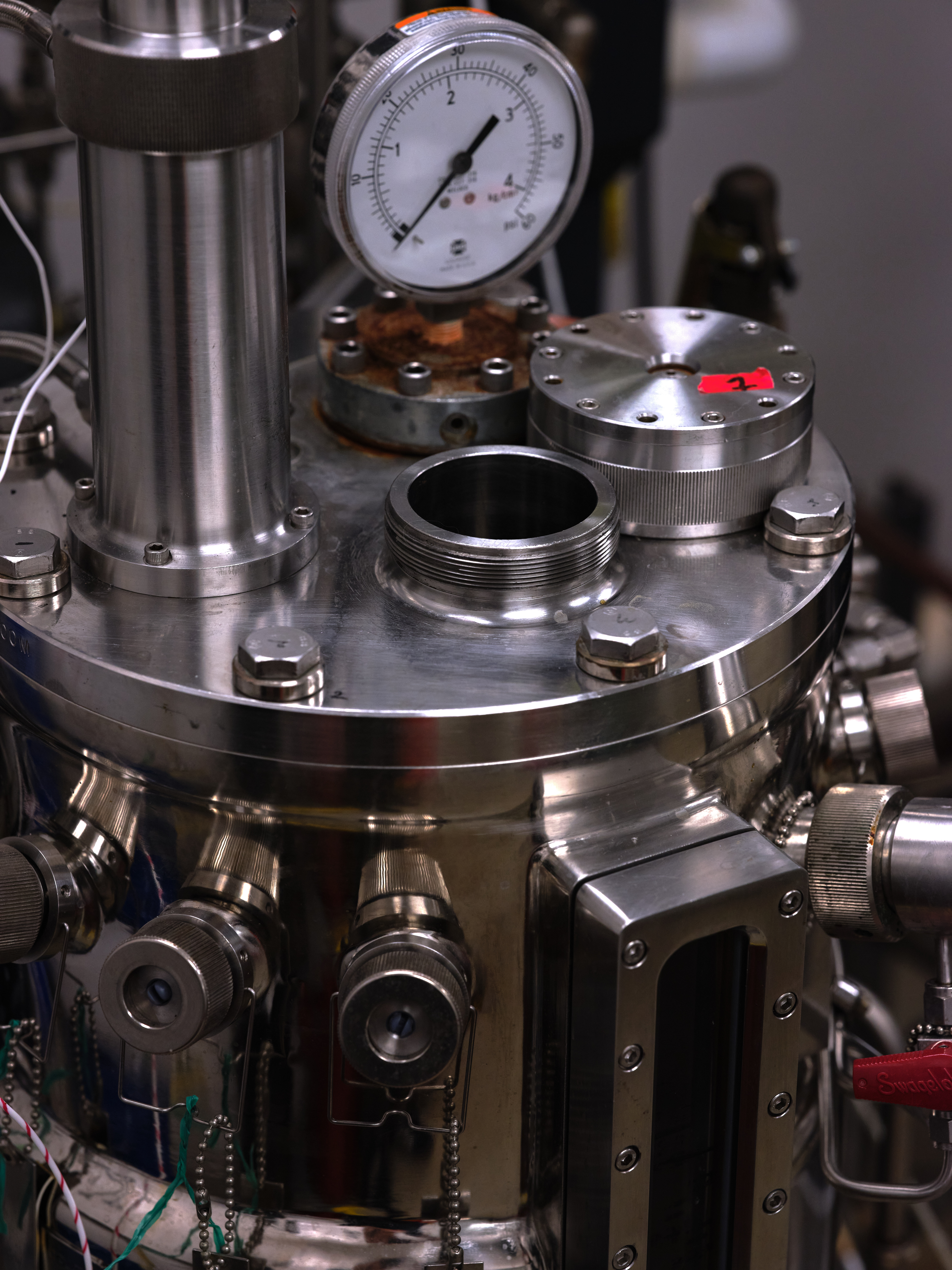 Bioengineering Scale-up