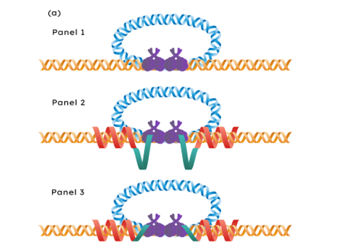 Genome Editing